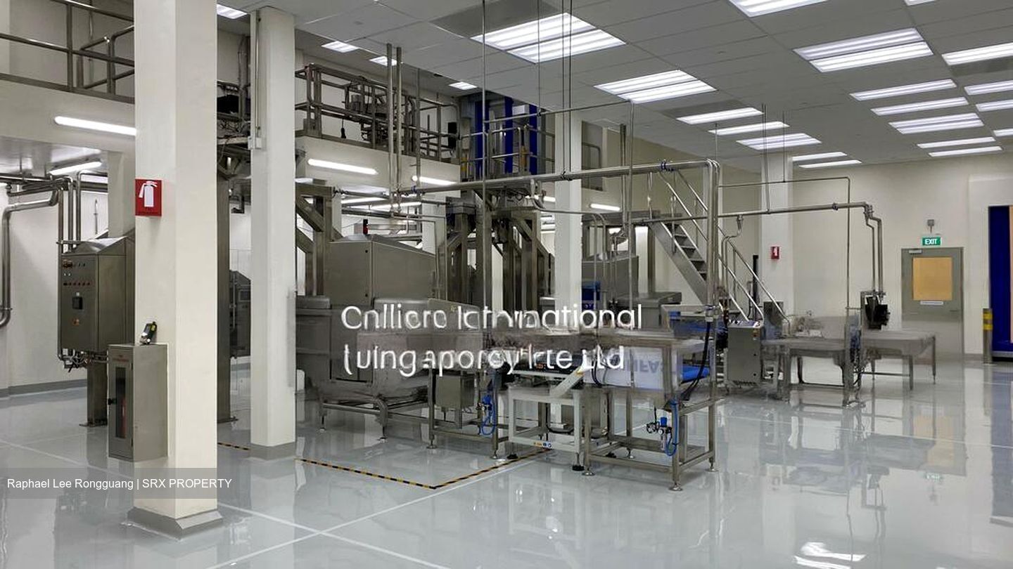 Senoko Crescent (D27), Factory #455634301